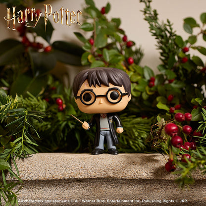 Pop! Harry Potter - US 4989