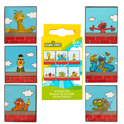 Sesame Street Neighborhood Friends Mystery Box Pin - US 8177